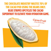 CACAO FRUIT