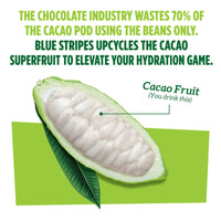 Cacao pod diagram with text about Blue Stripes using the whole cacao pod to elevate your daily nutrition.