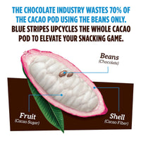 Cacao pod diagram with text about Blue Stripes using the whole cacao pod to elevate your daily nutrition.