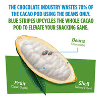 Cacao pod diagram with text about Blue Stripes using the whole cacao pod to elevate your daily nutrition.