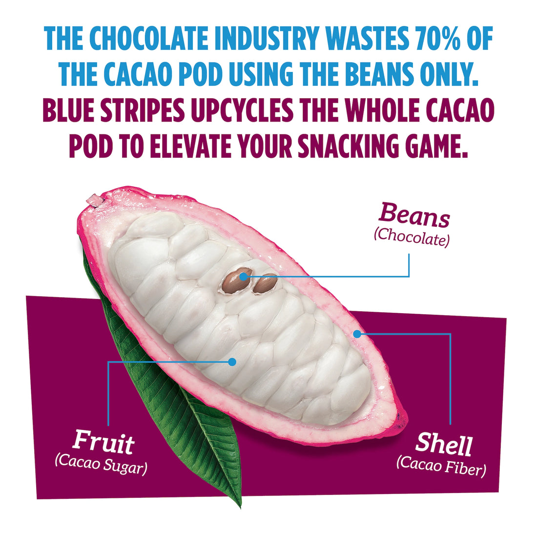 DARK CHOCOLATE