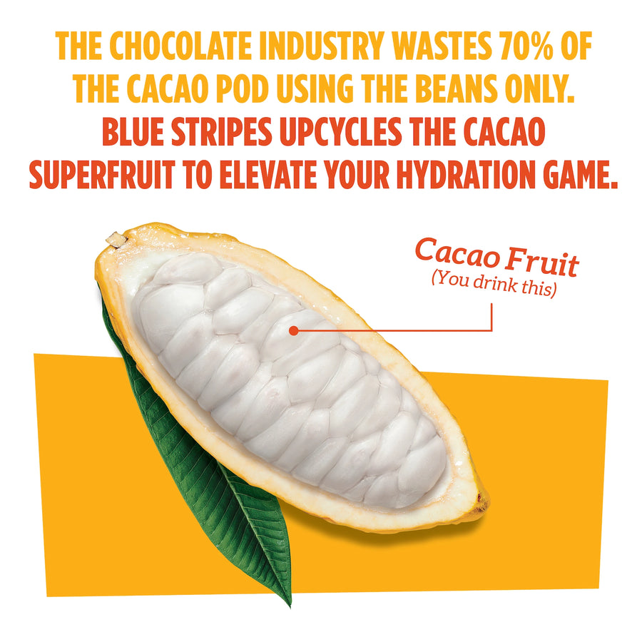 CACAO FRUIT