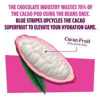 Cacao pod diagram with text about Blue Stripes using the whole cacao pod to elevate your daily nutrition.
