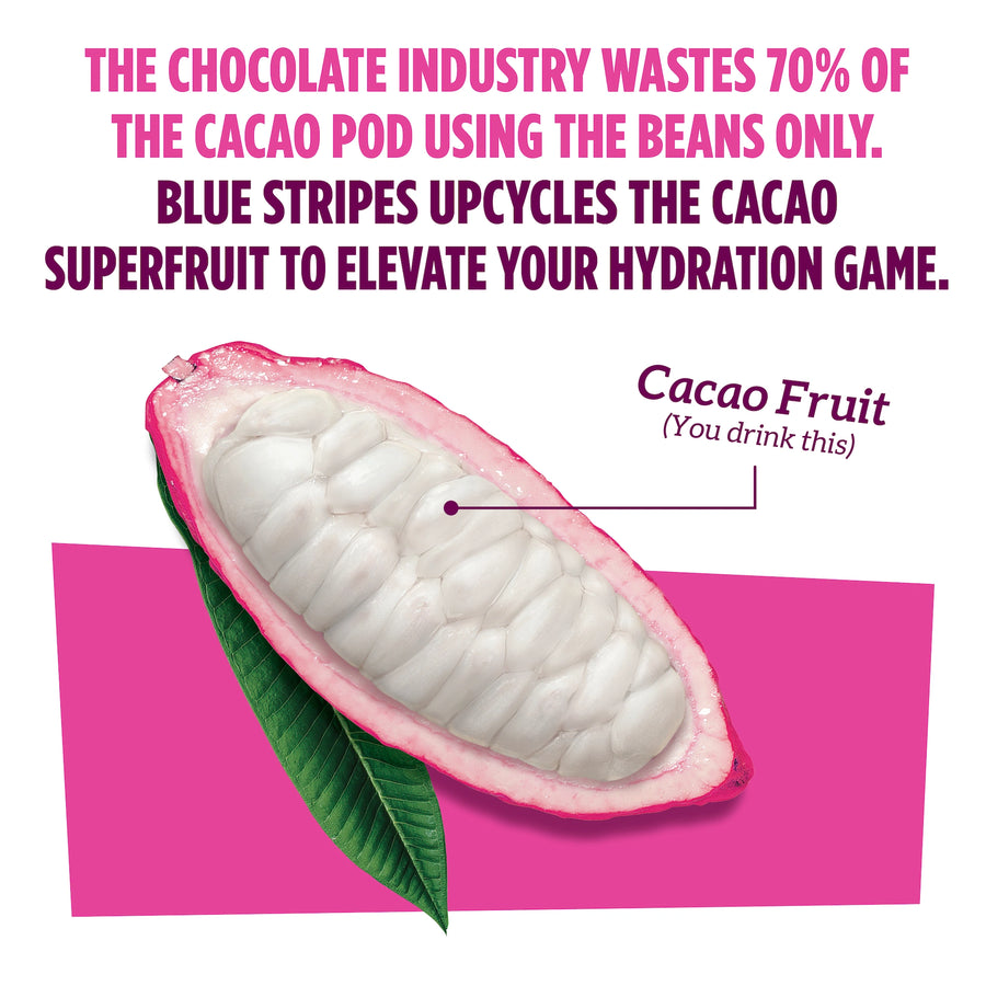 Cacao pod diagram with text about Blue Stripes using the whole cacao pod to elevate your daily nutrition.