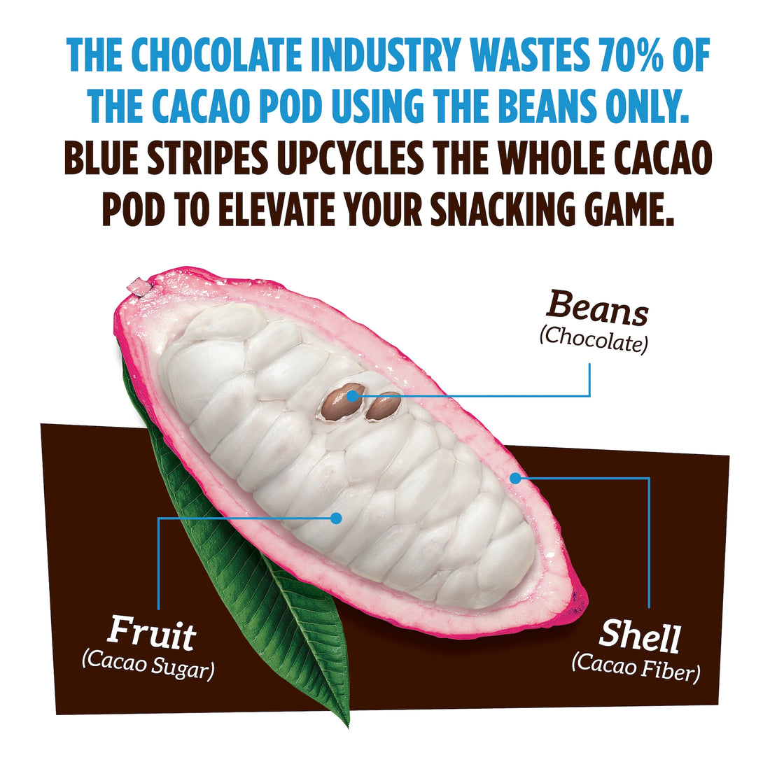 DARK CHOCOLATE COCONUT