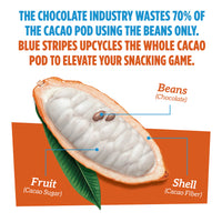 Cacao pod diagram with text about Blue Stripes using the whole cacao pod to elevate your daily nutrition.