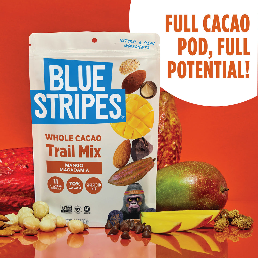 Blue Stripes Mango Macadamia Whole Cacao Trail Mix package with a cacao pod, mango, macadamia nuts, mulberries, and dark chocolate chips.