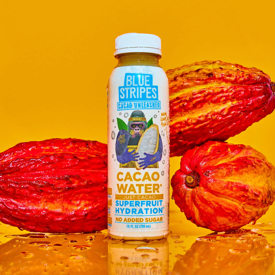 JUST CACAO