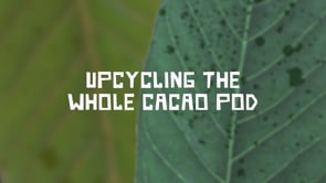 DRIED CACAO SUPERFRUIT
